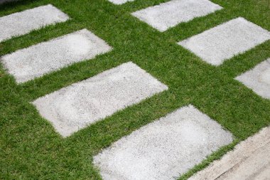 Çimlerin üzerinde çimento bloğu var. Güzel yeşil bahçe