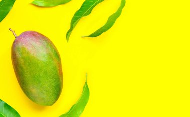 Sarı arka planda yaprakları olan mango. Üst görünüm