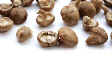Beyaz arka planda taze shiitake mantarları.