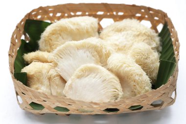 Beyaz arka planda taze aslan yelesi mantarı. (Yamabushitake Mantarı)