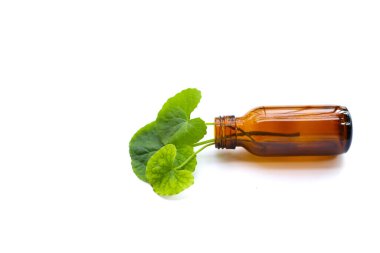 Beyaz arka planda gerekli şişe ile taze gotik kola yaprakları.