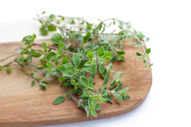 Beyaz arkaplanda taze kekik otu.