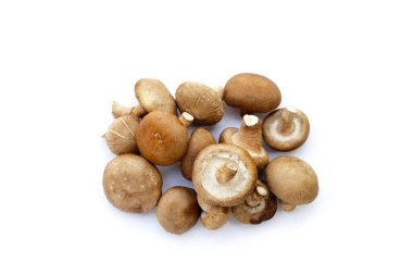 Beyaz arka planda taze shiitake mantarları.