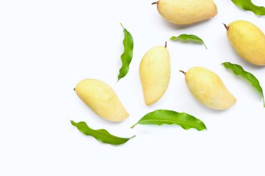 Tropik meyve, beyaz arka planda mango. Üst görünüm