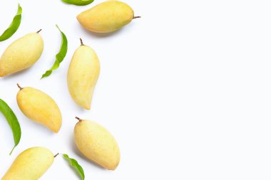 Tropik meyve, beyaz arka planda mango. Üst görünüm