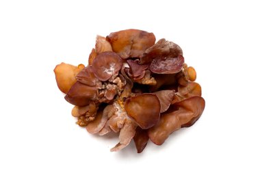 Beyaz arka planda siyah mantar mantar.