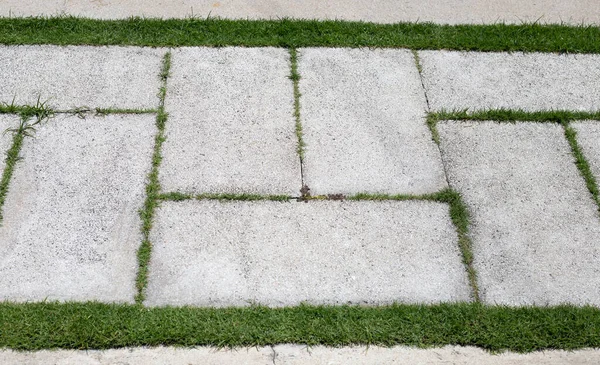 Çimlerin üzerinde çimento bloğu var. Güzel yeşil bahçe