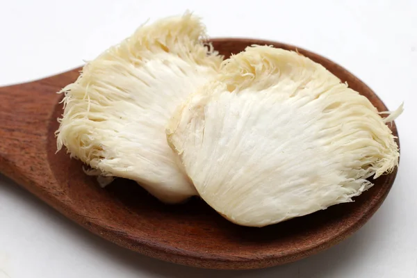 Fresh lion\'s mane mushroom on white background. (Yamabushitake Mushroom)