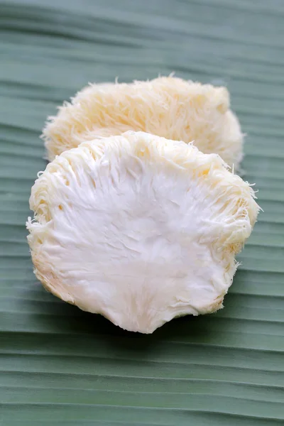 Fresh lion\'s mane mushroom on banana leaf. (Yamabushitake Mushroom)