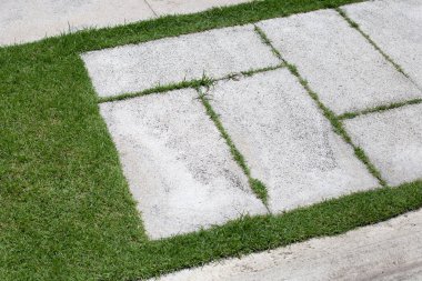 Çimlerin üzerinde çimento bloğu var. Güzel yeşil bahçe