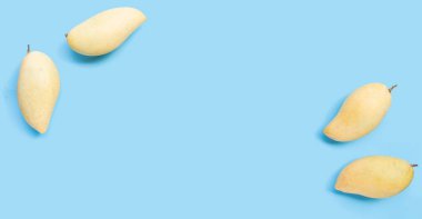 Tropik meyve, beyaz arka planda mango. Üst görünüm