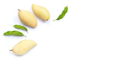 Tropik meyve, beyaz arka planda mango. Üst görünüm