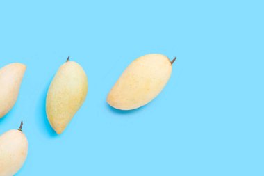 Tropik meyve, beyaz arka planda mango. Üst görünüm