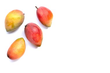 Tropik meyve, beyaz arka planda mango.. 