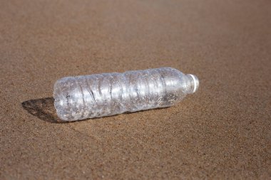 Plastik şişe sahilde