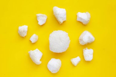 Sarı arka planda taze aslan yelesi mantarı. (Yamabushitake Mantarı)