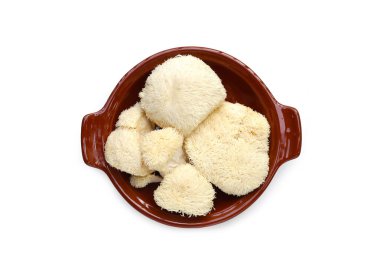 Taze aslan yelesi mantarı. (Yamabushitake Mantarı)