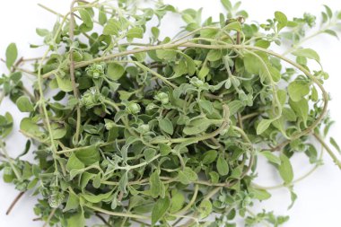 Beyaz arka plan üzerinde taze mercanköşk.