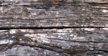 arkaplan için eski ahşap dokusu