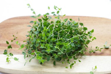 Beyaz arka plan üzerinde taze limon kekik.