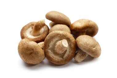 Beyaz arka planda taze shiitake mantarları.