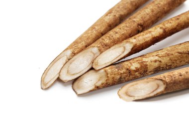 Beyaz arkaplanda Burdock Kökü (Gobo).