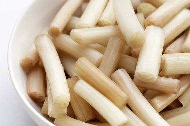 Beyaz arkaplanda taze nilüfer kökü.