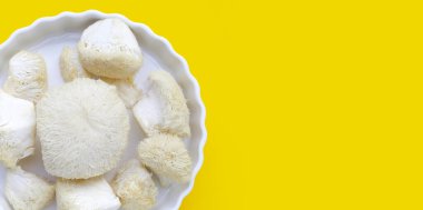 Taze aslan yelesi mantarı. (Yamabushitake Mantarı)