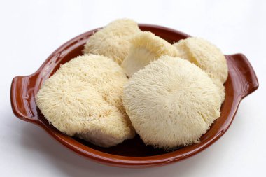 Taze aslan yelesi mantarı. (Yamabushitake Mantarı)