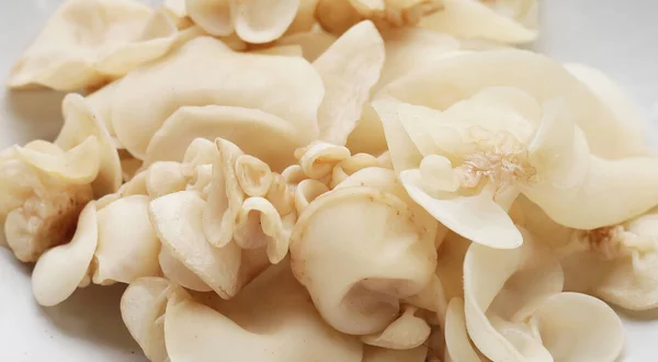 White Jelly Mushroom White Ear Mushroom Royalty Free Stock Photos