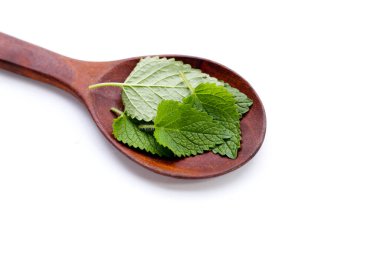 beyaz zemin üzerine taze Melisa.