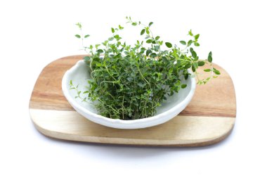 Beyaz arka plan üzerinde taze limon kekik.