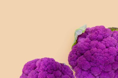 Purple cauliflower on yellow background.