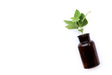 beyaz zemin üzerine taze Melisa.