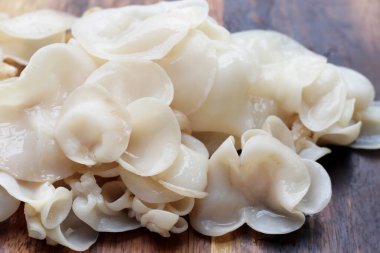 Beyaz jöle mantarı ya da beyaz kulak mantarı