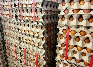 Süpermarkette yumurta tepsisinde tavuk yumurtası satılıyor.