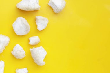 Sarı arka planda taze aslan yelesi mantarı. (Yamabushitake Mantarı)