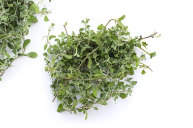 Beyaz arka plan üzerinde taze mercanköşk.