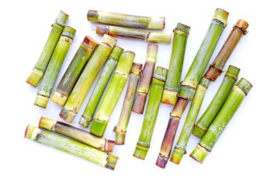 Beyaz arkaplanda taze şeker kamışı.