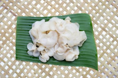 Beyaz jöle mantarı ya da beyaz kulak mantarı