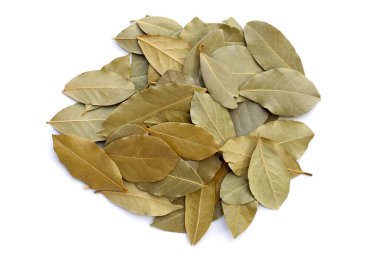 Dried bay leaves on white background. clipart