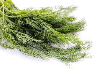 Beyaz yeşil taze dereotu.