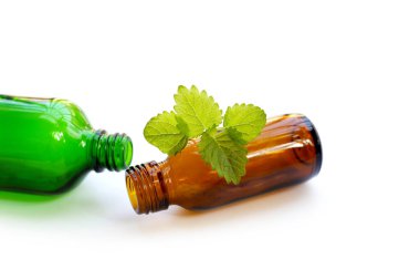 Limonlu taze yapraklar ve gerekli yağ şişeleri.