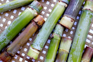 Bambu örgü tabağında taze şeker kamışı