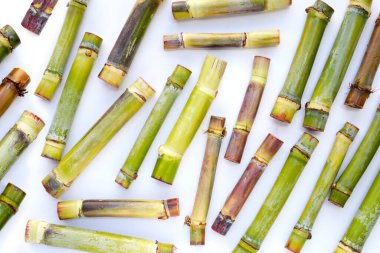 Beyaz arkaplanda taze şeker kamışı.