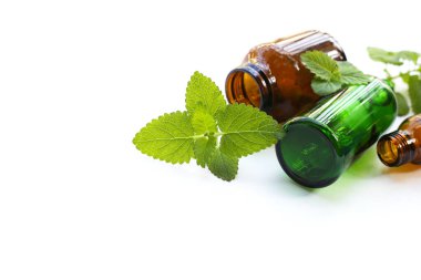 Limonlu taze yapraklar ve gerekli yağ şişesi.