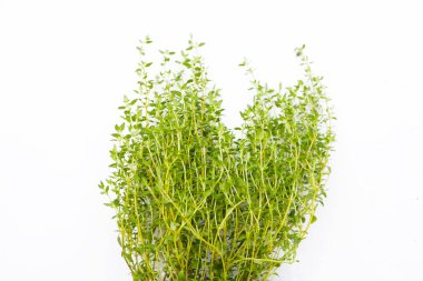 Beyaz arkaplanda taze kekik.