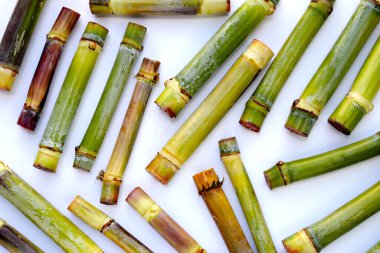 Beyaz arkaplanda taze şeker kamışı.