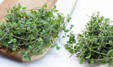 Beyaz arka plan üzerinde taze mercanköşk.