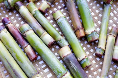 Bambu örgü tabağında taze şeker kamışı